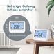 Інтелектуальний термостат INKBIRD для систем опалення та клімат-контролю G4984 фото 6